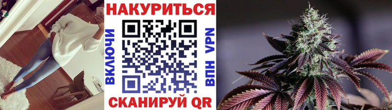 Купить где  Павловская  Бошки Шишки тримм 